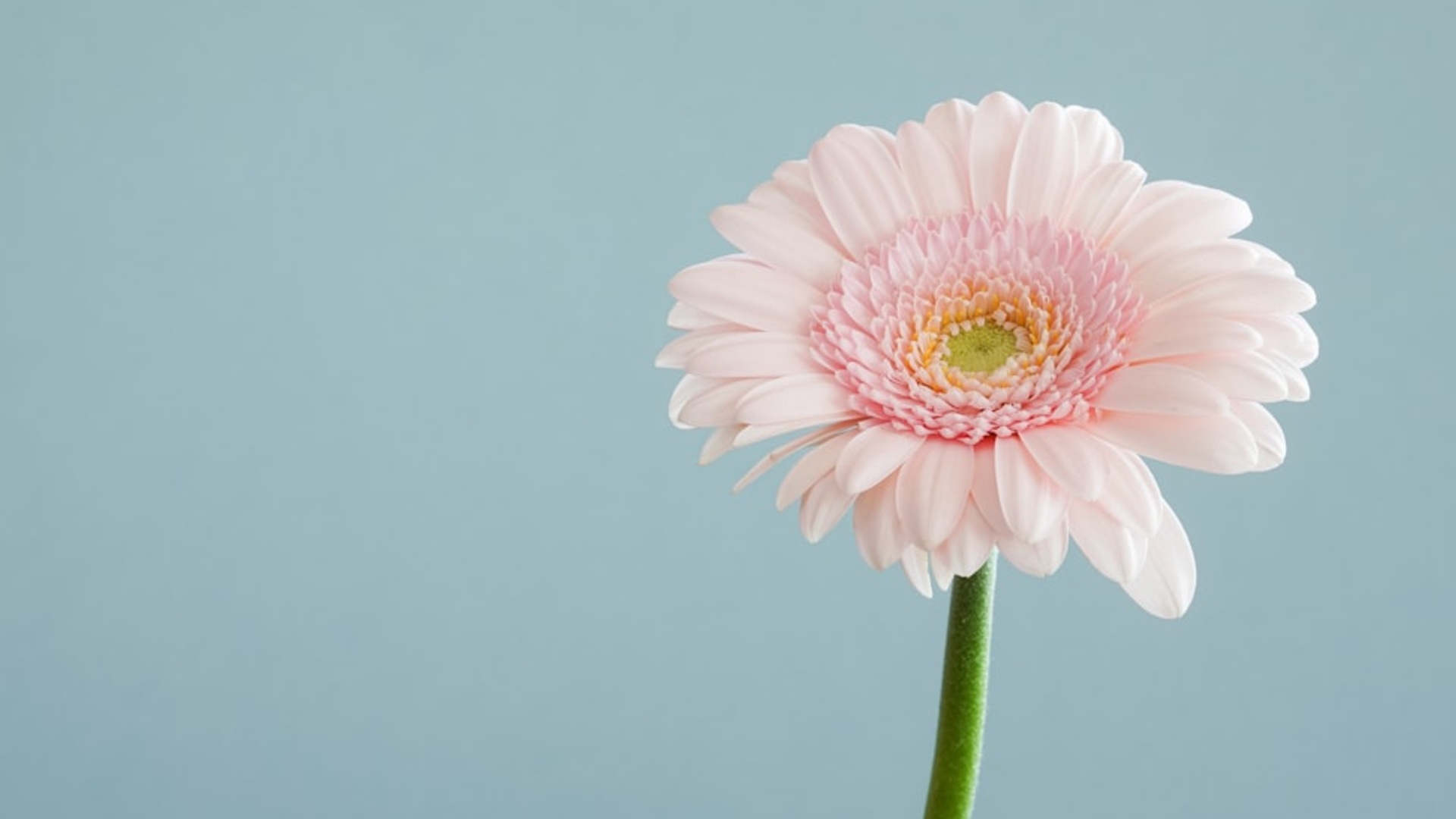 Banner da Clínica Eyecare Health