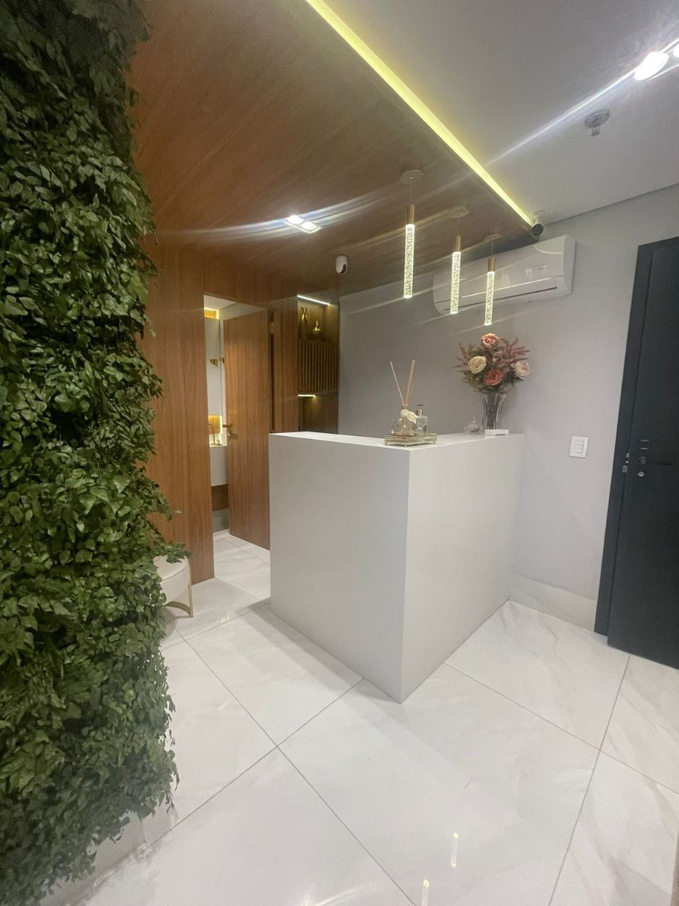 Imagem enviada pelo usuário